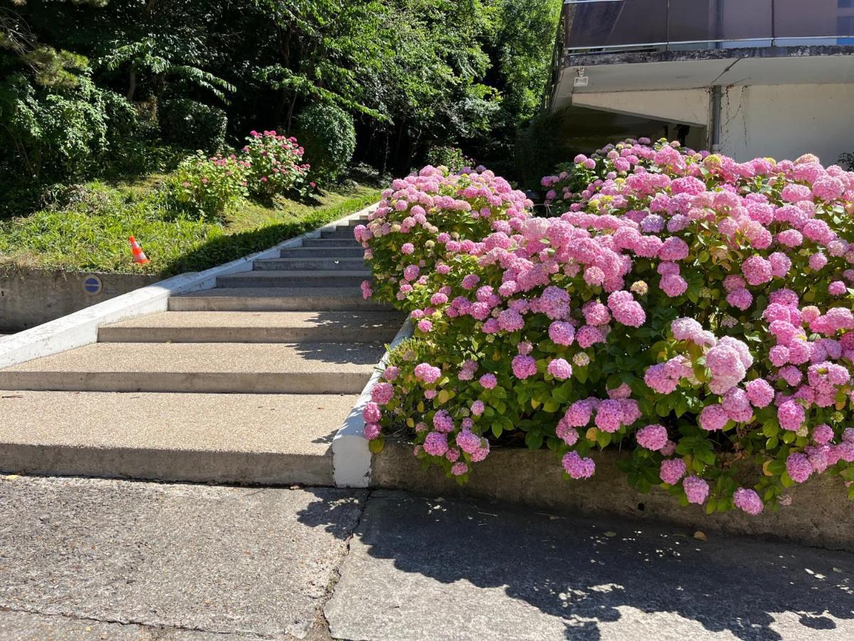 Trouville, Appartement Renove Avec Grande Terrasse Au Calme Kültér fotó